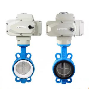 Van Bướm Motor Điện